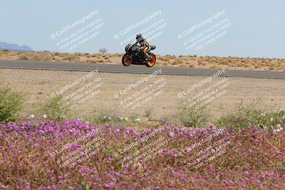 media/Mar-12-2023-SoCal Trackdays (Sun) [[d4c8249724]]/Turn 15 Inside Bloom (130pm)/